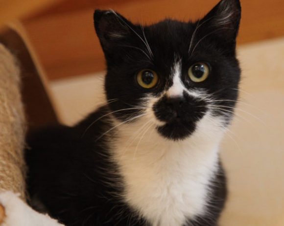 Mia und Bella Mia und Bella