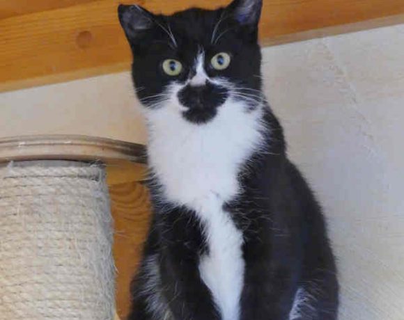 Mia und Bella Mia und Bella