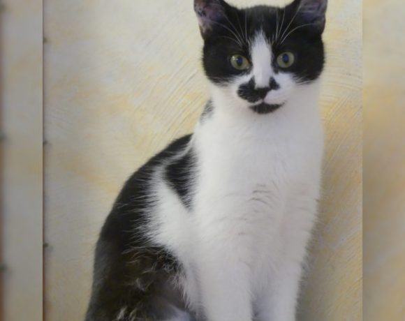 Mia und Bella Mia und Bella