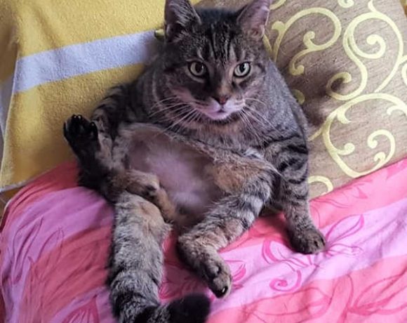 Luna und Diego Luna und Diego