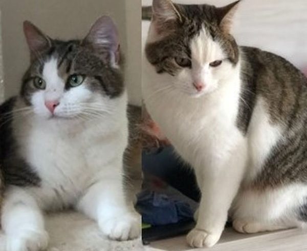 Schlumpfinchen und Carla