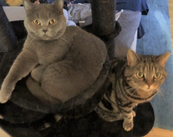 Lucy und Balu Lucy und Balu