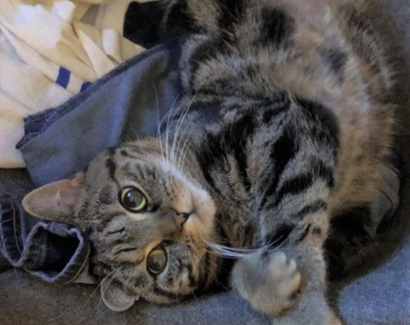 Lucy und Balu Lucy und Balu