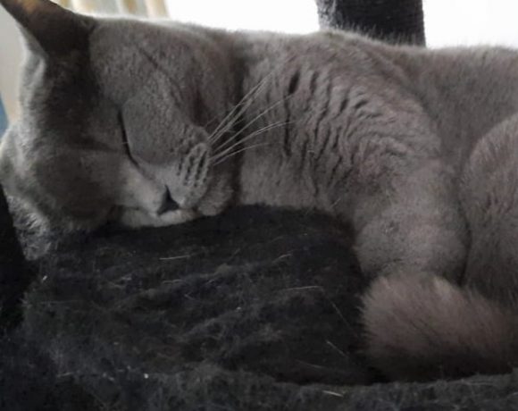 Lucy und Balu Lucy und Balu