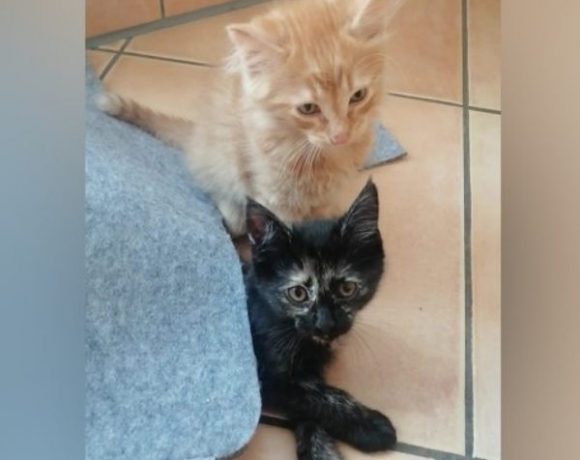 Lilo und Ernie Lilo und Ernie