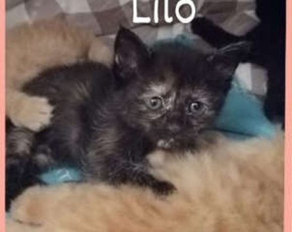 Lilo und Ernie Lilo und Ernie