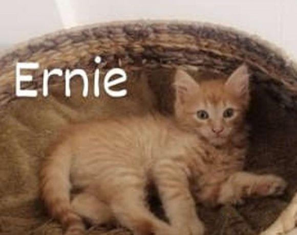 Lilo und Ernie Lilo und Ernie