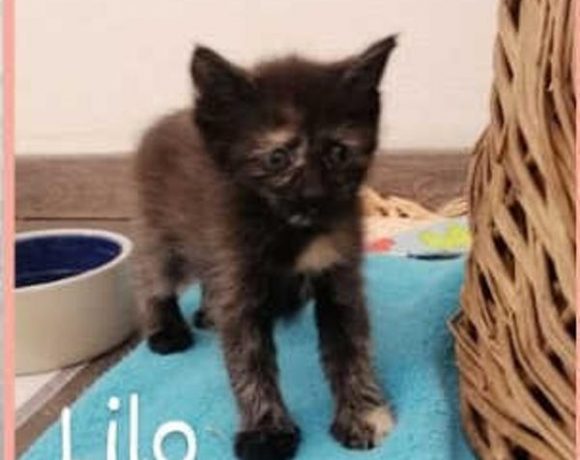 Lilo und Ernie Lilo und Ernie