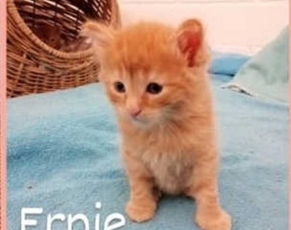 Lilo und Ernie Lilo und Ernie