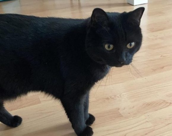 Sanni und Luna Sanni und Luna