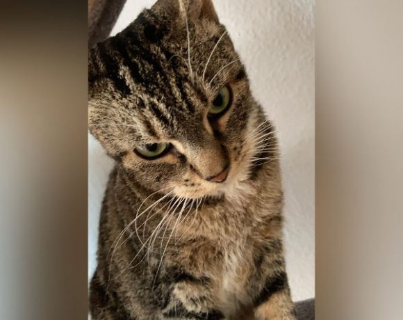 Sanni und Luna Sanni und Luna