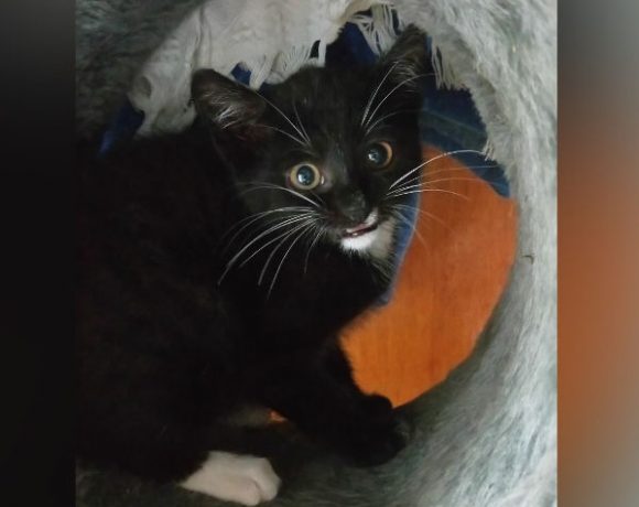 Marissa und Miss Meggy Marissa und Miss Meggy