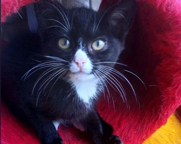 Marissa und Miss Meggy Marissa und Miss Meggy