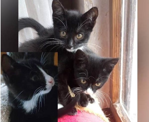 Marissa und Miss Meggy