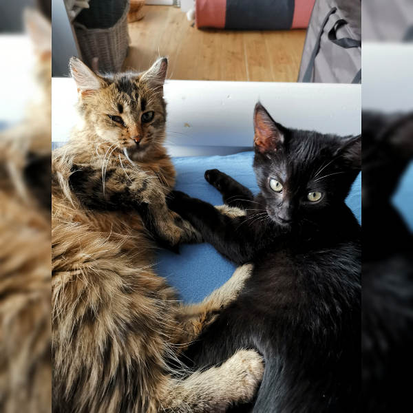 Sheila und Bukowski Sheila und Bukowski