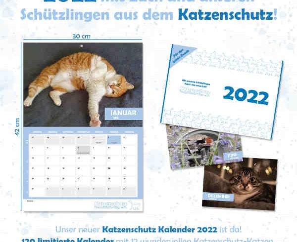 Unser Katzenschutz-Kalender 2022 ist da!