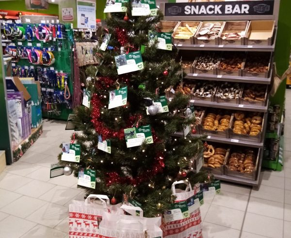 Fressnapf-Aktion: Weihnachts-Wunschbäume für unsere Katzen Fressnapf-Aktion: Weihnachts-Wunschbäume für unsere Katzen