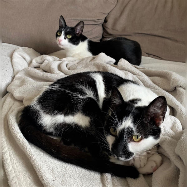 Batman und Lora Batman und Lora