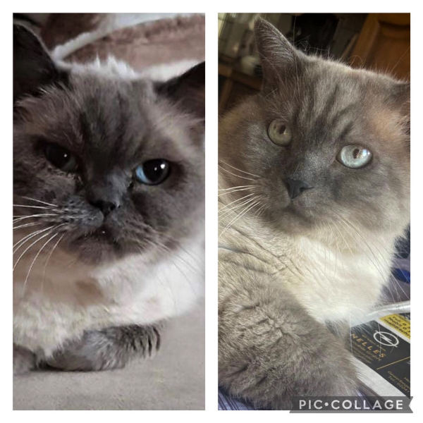 Bella und Balu Bella und Balu