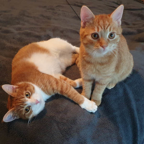 Lia und Mats Lia und Mats