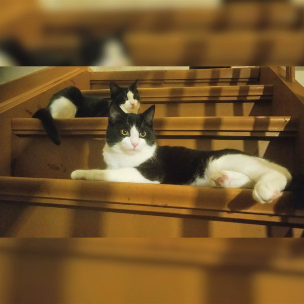 Jamie und Jason Jamie und Jason