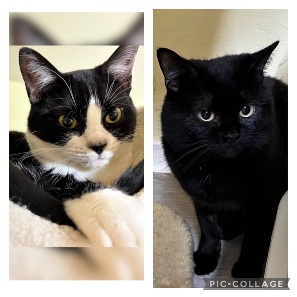 Jack und Jona Jack und Jona