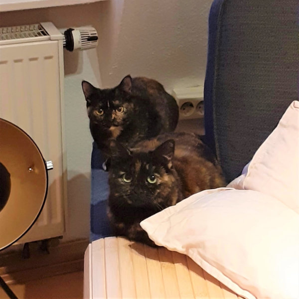 Fritzi und Cleo Fritzi und Cleo