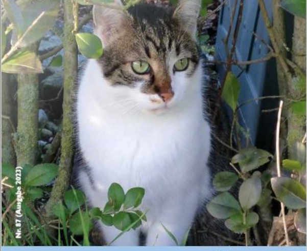 Neue Ausgabe der Postille ist online Neue Ausgabe der Postille ist online