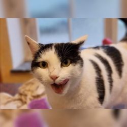 Kalendertürchen 13 – Tinkas Wunsch