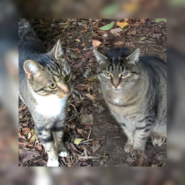 Fermi und Mausi Fermi und Mausi