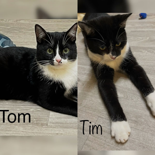 Tom und Tim