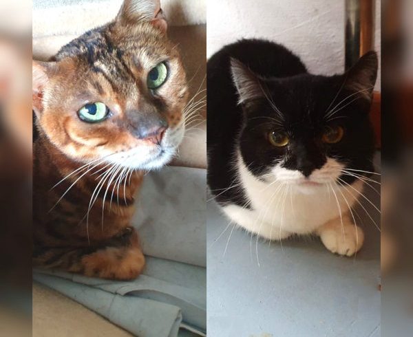 3. Türchen – Ivans und Kaspars Wunsch 3. Türchen – Ivans und Kaspars Wunsch