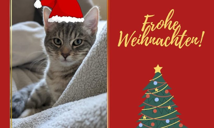 Frohe Weihnachten Frohe Weihnachten
