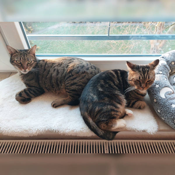 Denver und Lucky Denver und Lucky