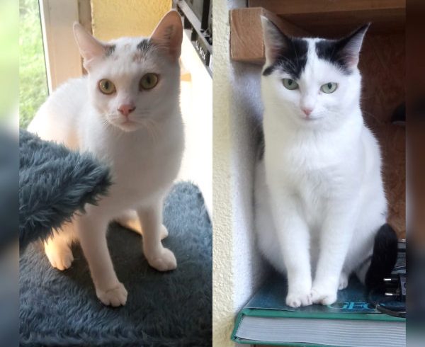 Juna und Miss Marple