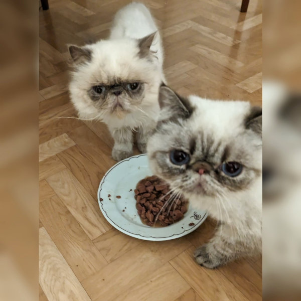 Horst und Helga Horst und Helga