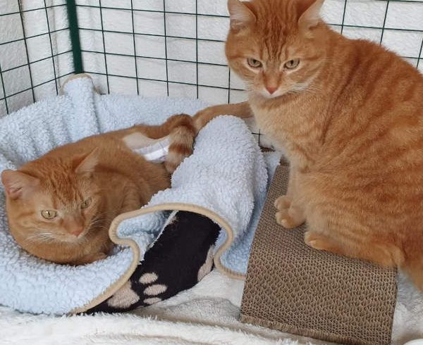 Wir brauchen Eure Unterstützung! Wir brauchen Eure Unterstützung!