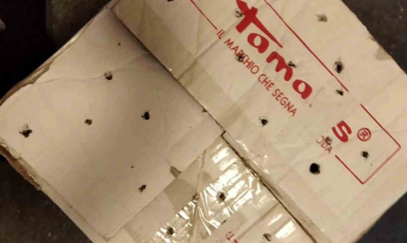 Warum tun Menschen das ihren Katzen an? Warum tun Menschen das ihren Katzen an?