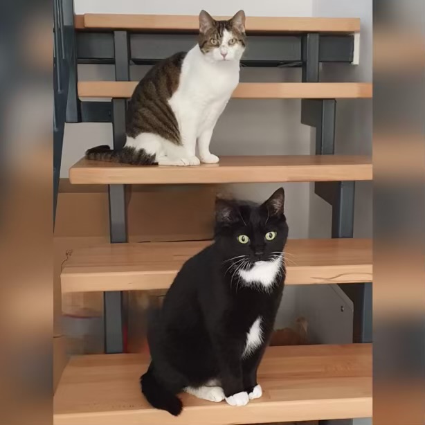 Fibi &Lili Fibi &Lili