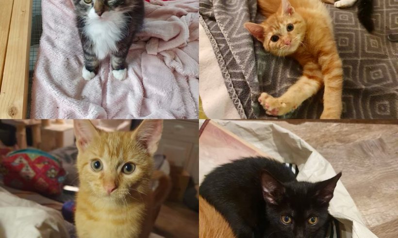 Marie, Einstein & Feynman