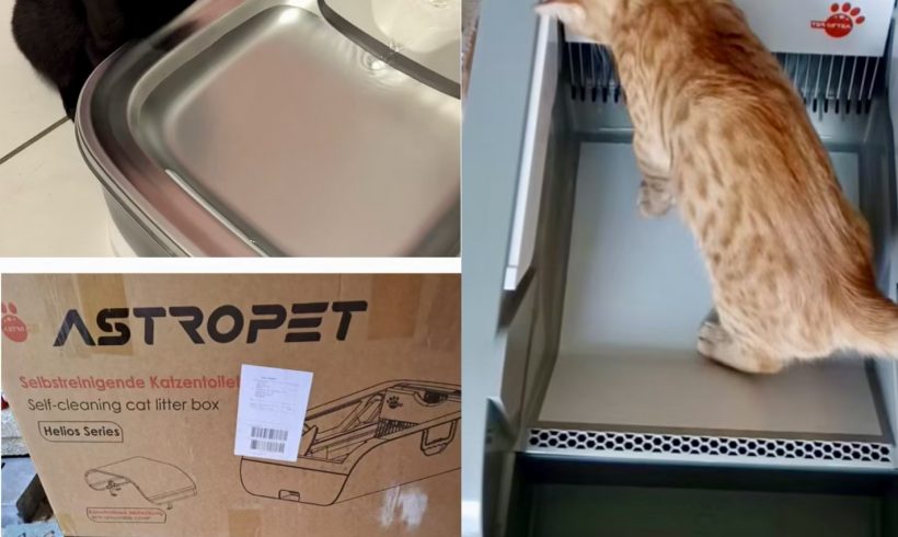 Dankeschön – Spende Astropet Dankeschön – Spende Astropet