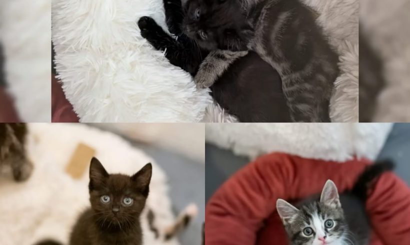 An der Autobahn ausgesetzt! An der Autobahn ausgesetzt!