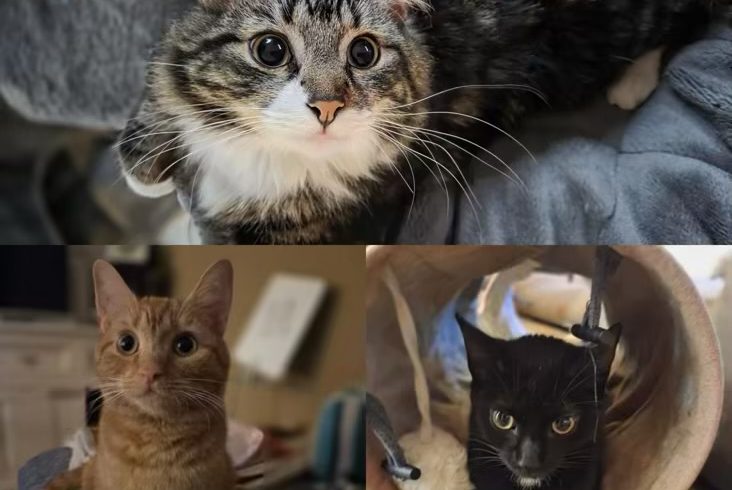 Einstein, Feynman & Marie