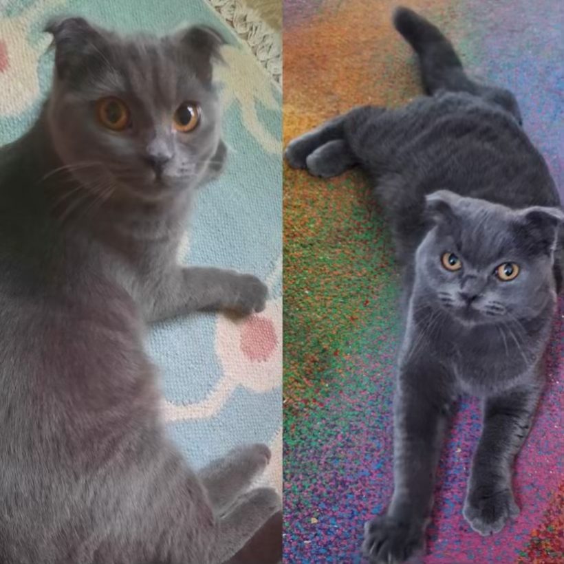 Alva & Fenja Alva & Fenja