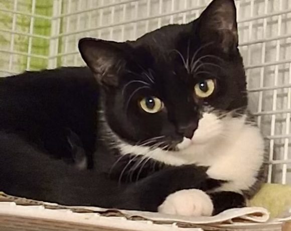 Pasco,Leara, Mairen & Chada Pasco,Leara, Mairen & Chada