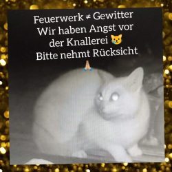 Feuerwerk
