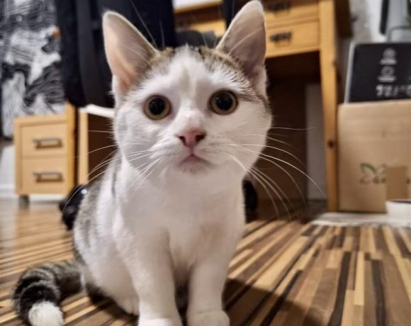 Paper & Ink Paper & Ink