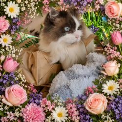 Danksagung Osterspenden