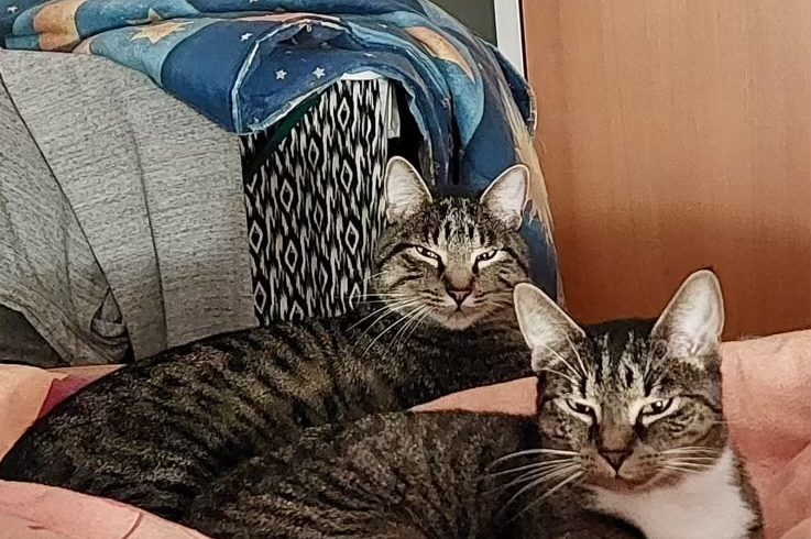 Mia & Charly
