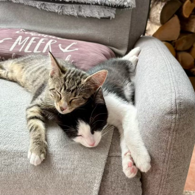 Charly & Milo